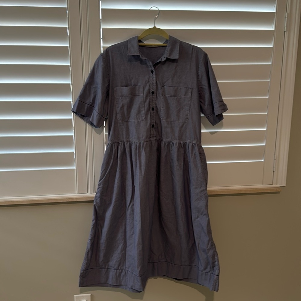 Everlane Parklet blue check shirt dress size 10 (large)